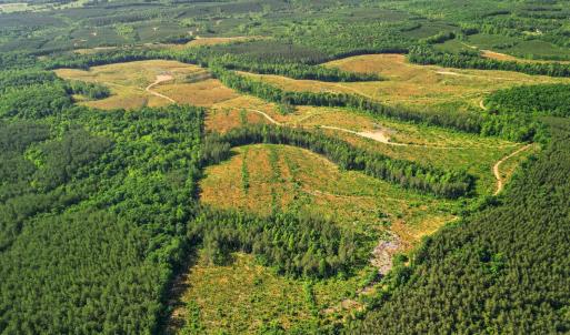 Photo #22 of 4040 Norwood Road, Gladstone, VA 405.2 acres