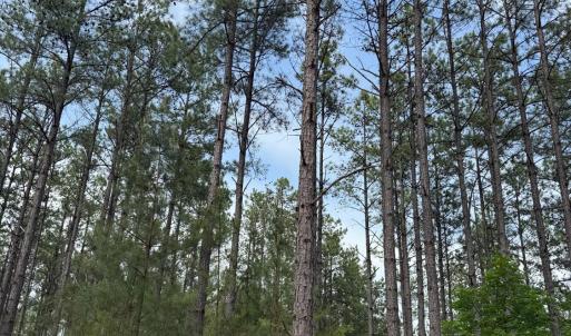 Photo #54 of 4040 Norwood Road, Gladstone, VA 405.2 acres