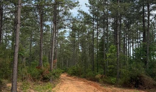Photo #55 of 4040 Norwood Road, Gladstone, VA 405.2 acres