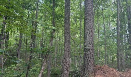 Photo #61 of 4040 Norwood Road, Gladstone, VA 405.2 acres
