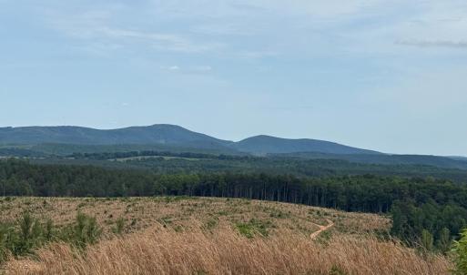 Blue Ridge Mountain Views