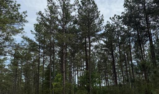 Photo #57 of 4040 Norwood Road, Gladstone, VA 405.2 acres