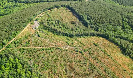 Photo #15 of 4040 Norwood Road, Gladstone, VA 405.2 acres