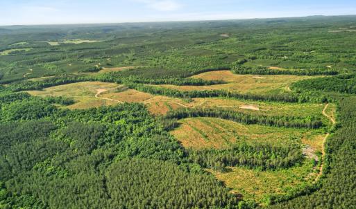 Photo #20 of 4040 Norwood Road, Gladstone, VA 405.2 acres