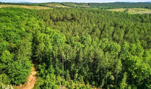 Photo #48 of 4040 Norwood Road, Gladstone, VA 405.2 acres