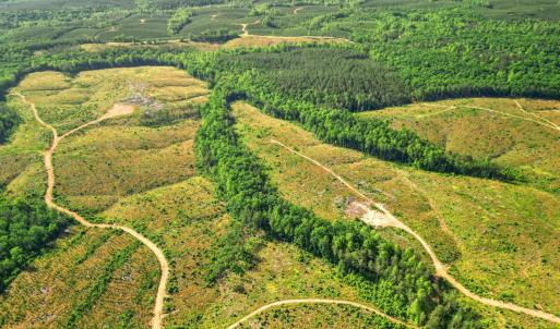 Photo #17 of 4040 Norwood Road, Gladstone, VA 405.2 acres