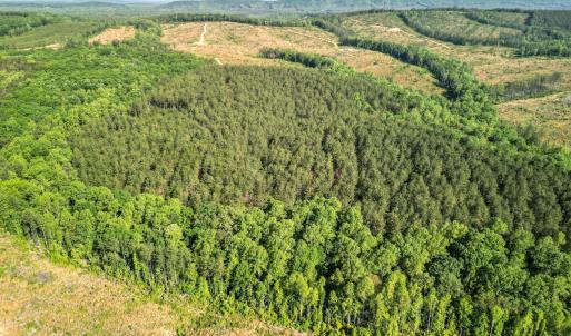 Photo #13 of 4040 Norwood Road, Gladstone, VA 405.2 acres