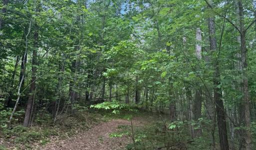 Photo #59 of 4040 Norwood Road, Gladstone, VA 405.2 acres