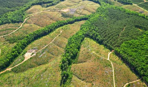 Photo #29 of 4040 Norwood Road, Gladstone, VA 405.2 acres
