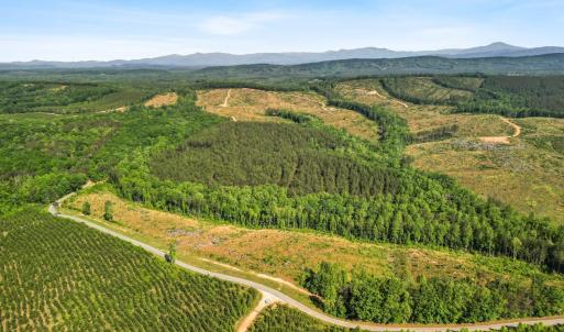 Photo #45 of 4040 Norwood Road, Gladstone, VA 405.2 acres
