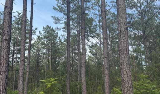 Photo #58 of 4040 Norwood Road, Gladstone, VA 405.2 acres