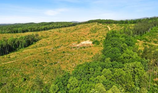 Photo #42 of 4040 Norwood Road, Gladstone, VA 405.2 acres