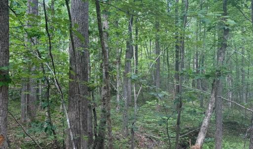 Photo #60 of 4040 Norwood Road, Gladstone, VA 405.2 acres