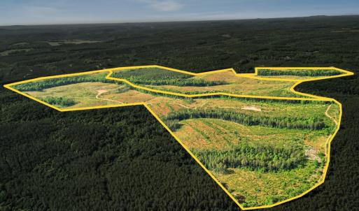 Photo #19 of 4040 Norwood Road, Gladstone, VA 405.2 acres