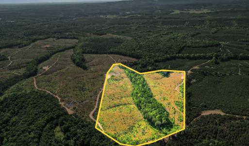Photo #1 of 4042 Norwood Road, Gladstone, VA 39.0 acres