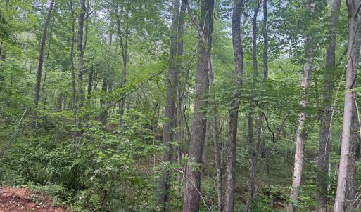 Photo #14 of 4608 Norwood Road, Gladstone, VA 158.6 acres
