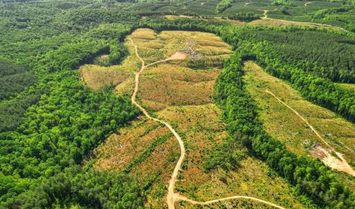 Photo #23 of 4608 Norwood Road, Gladstone, VA 158.6 acres