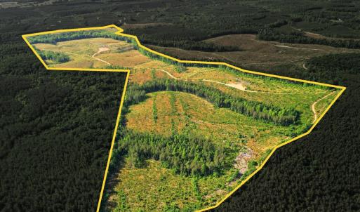 Photo #1 of 5150 Norwood Road, Gladstone, VA 207.6 acres