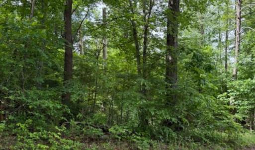 Photo #1 of E. Pamplin Road, Pamplin, VA 1.2 acres
