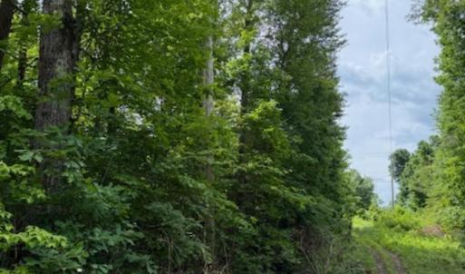 Photo #2 of E. Pamplin Road, Pamplin, VA 1.2 acres
