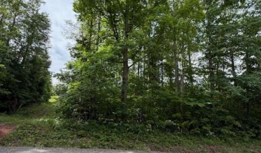 Photo #6 of E. Pamplin Road, Pamplin, VA 1.2 acres