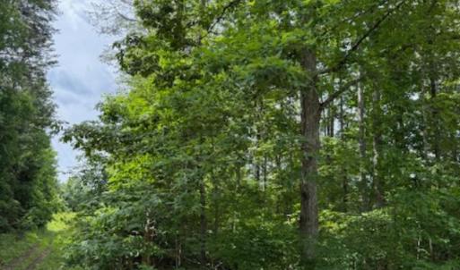 Photo #4 of E. Pamplin Road, Pamplin, VA 1.2 acres