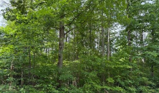 Photo #5 of E. Pamplin Road, Pamplin, VA 1.2 acres