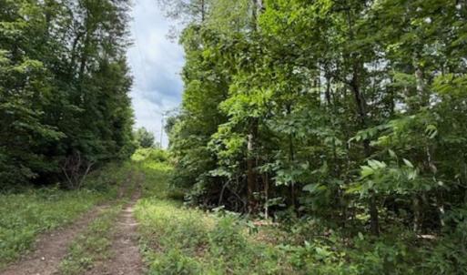 Photo #7 of E. Pamplin Road, Pamplin, VA 1.2 acres