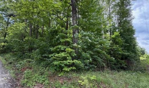 Photo #8 of E. Pamplin Road, Pamplin, VA 1.2 acres