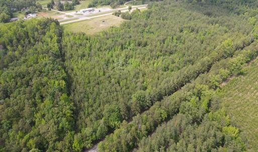 Photo #3 of 161 Kings Highway, Keysville, VA 26.0 acres