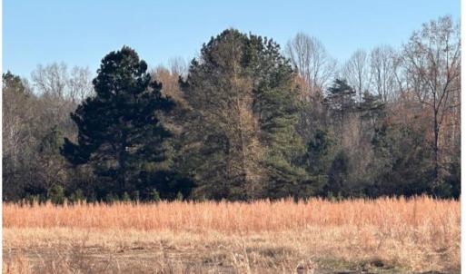 Photo #1 of SMI Way, Farmville, VA 21.6 acres