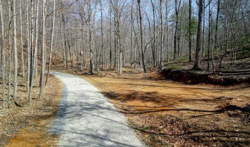 Photo #10 of Christian Mill Creek Rd., Amherst, VA 45.4 acres