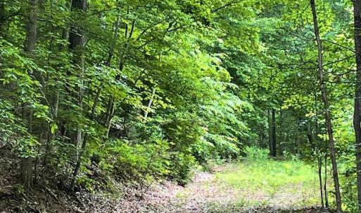 Photo #5 of Christian Mill Creek Rd., Amherst, VA 45.4 acres