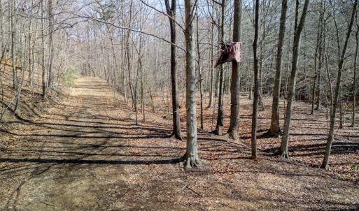 Photo #19 of Christian Mill Creek Rd., Amherst, VA 45.4 acres