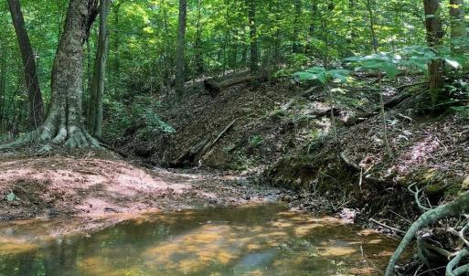 Photo #8 of Christian Mill Creek Rd., Amherst, VA 45.4 acres