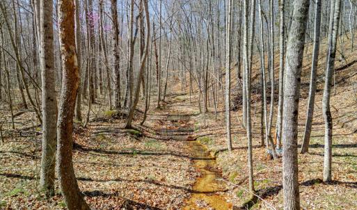 Photo #11 of Christian Mill Creek Rd., Amherst, VA 45.4 acres