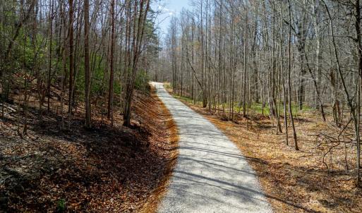 Photo #13 of Christian Mill Creek Rd., Amherst, VA 45.4 acres