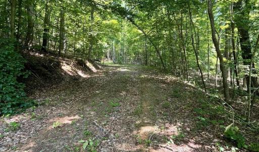 Photo #7 of Christian Mill Creek Rd., Amherst, VA 45.4 acres