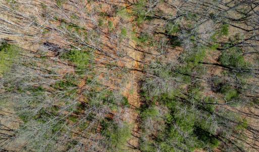 Photo #18 of Christian Mill Creek Rd., Amherst, VA 45.4 acres
