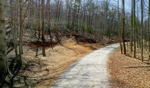 Photo #12 of Christian Mill Creek Rd., Amherst, VA 45.4 acres
