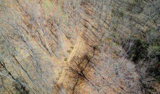 Photo #17 of Christian Mill Creek Rd., Amherst, VA 45.4 acres