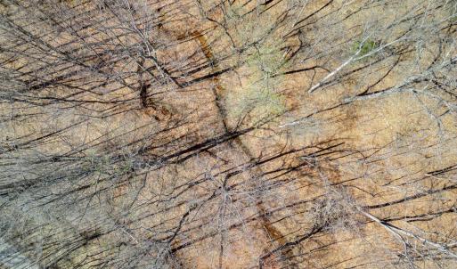 Photo #16 of Christian Mill Creek Rd., Amherst, VA 45.4 acres