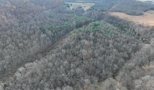 Photo #3 of Major Graham, Wytheville, VA 17.0 acres
