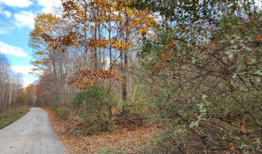 Photo #5 of Major Graham, Wytheville, VA 17.0 acres