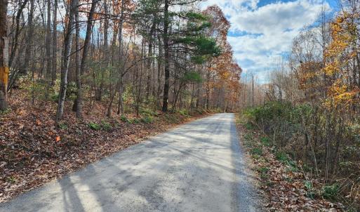 Photo #4 of Major Grahams, Wytheville, VA 22.0 acres