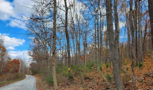 Photo #1 of Major Grahams Road, Wytheville, VA 38.3 acres
