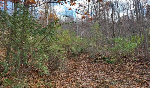 Photo #5 of Major Grahams Road, Wytheville, VA 38.3 acres