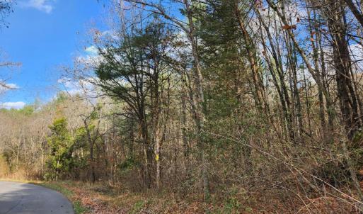 Photo #3 of Major Grahams, Wytheville, VA 17.3 acres
