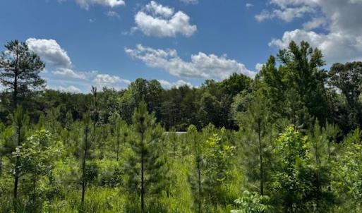 Photo #2 of Mini Ball Lane, Appomattox, VA 69.5 acres