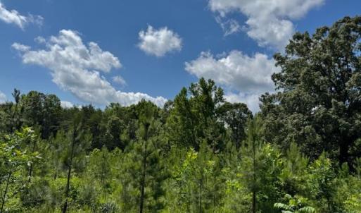 Photo #3 of Mini Ball Lane, Appomattox, VA 69.5 acres